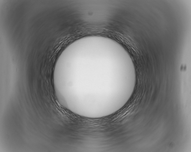 X0000091931441200709051231