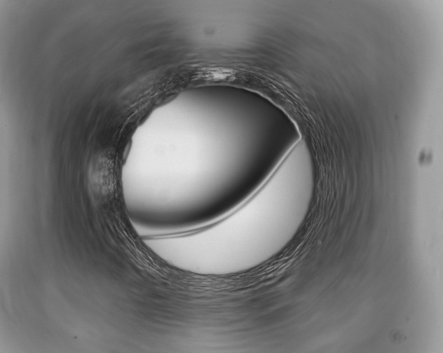 X0000091931442200709051231