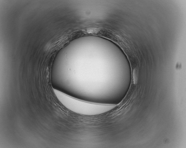 X0000091931443200709051231