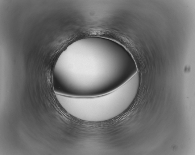 X0000091931444200709051231