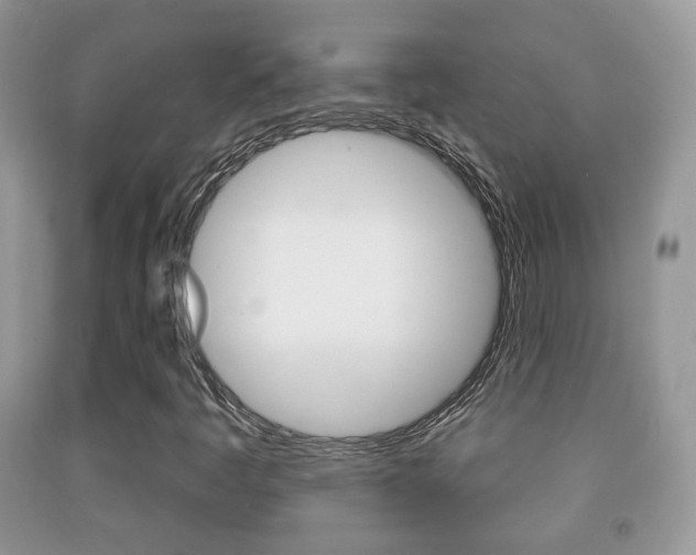X0000091931445200709051231