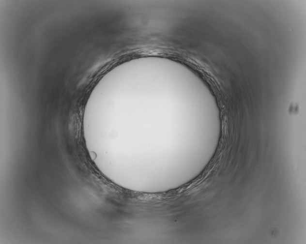 X0000091931446200709051231