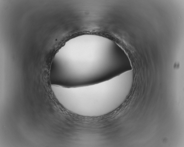 X0000091931447200709051231