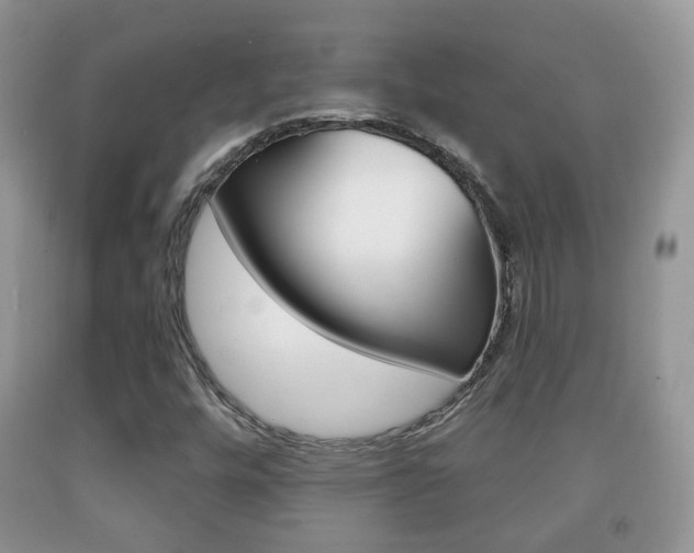 X0000091931448200709051231