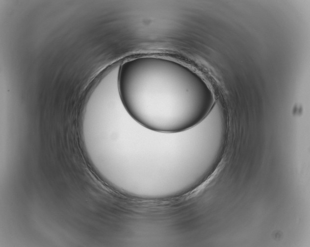 X0000091931449200709051231