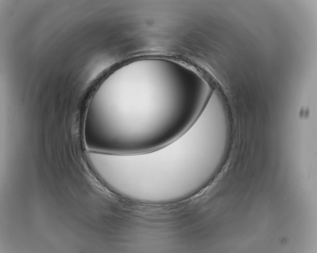X0000091931450200709051231
