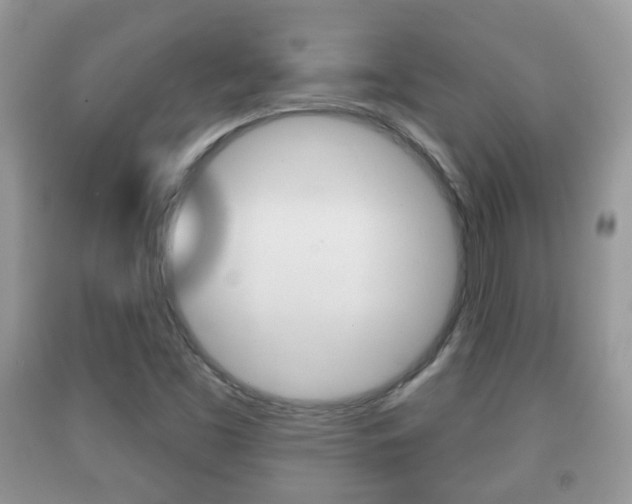 X0000091931453200709051231