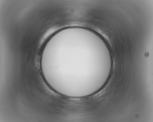 X0000091931454200709051231