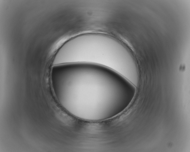 X0000091931455200709051231