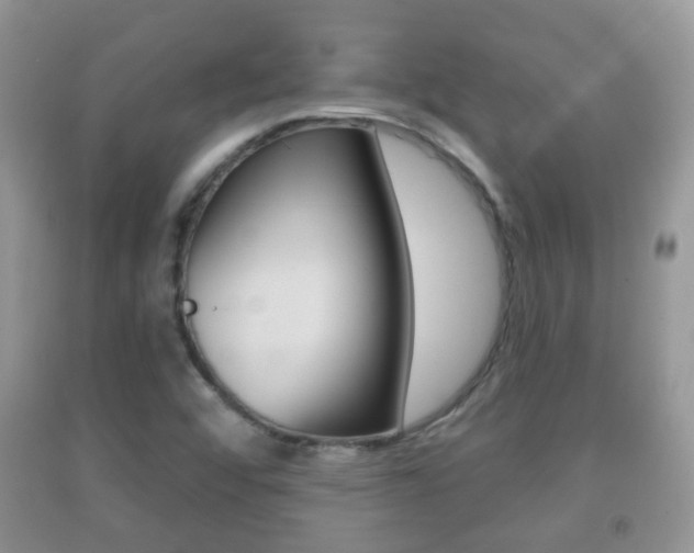 X0000091931456200709051231