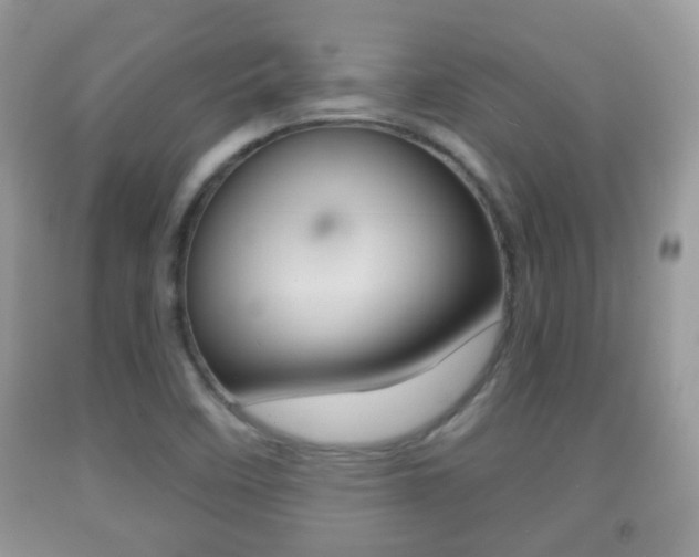 X0000091931458200709051231