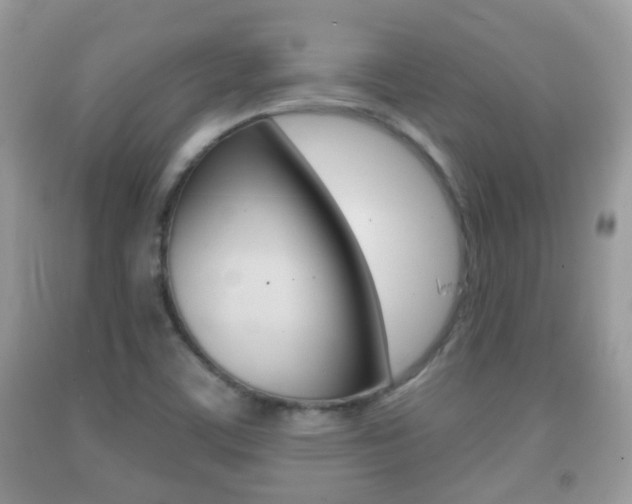 X0000091931459200709051231
