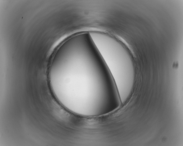 X0000091931460200709051231