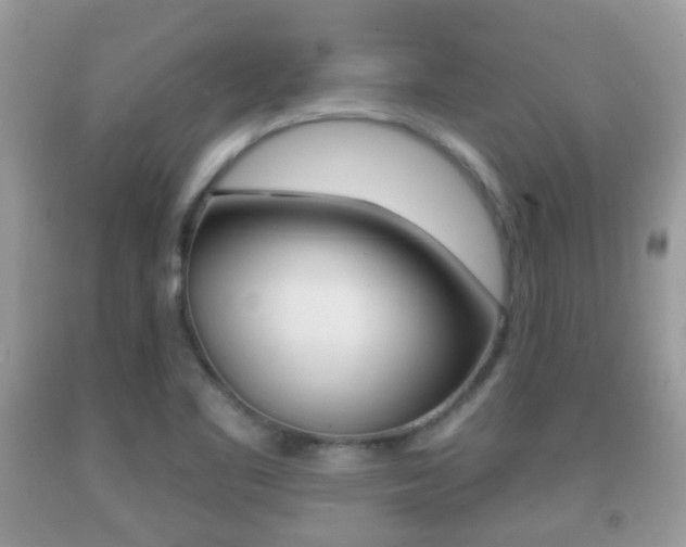X0000091931461200709051231