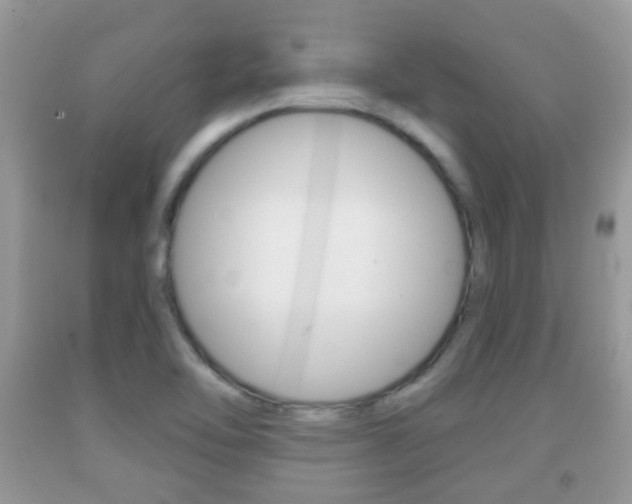 X0000091931462200709051231