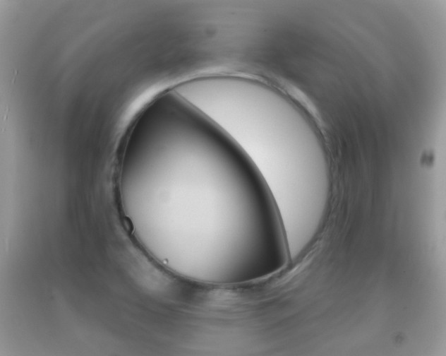 X0000091931463200709051231