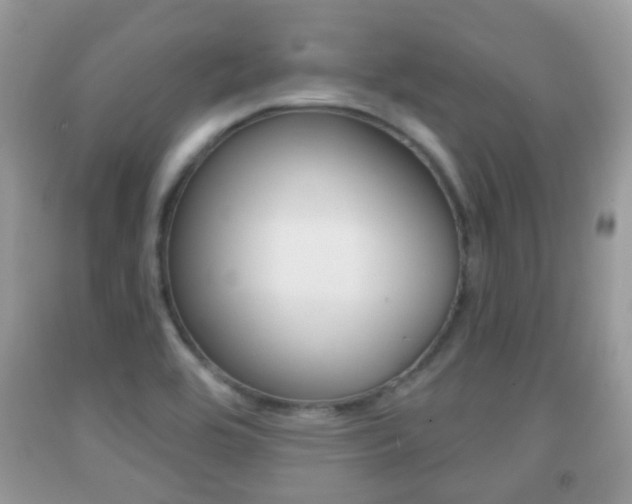 X0000091931464200709051230