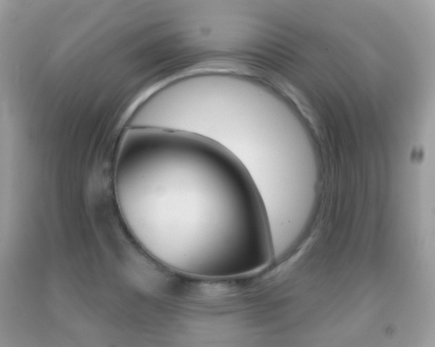 X0000091931465200709051230