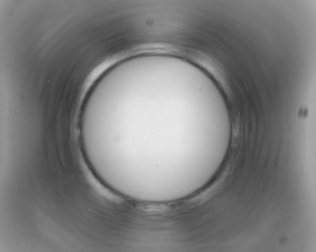 X0000091931466200709051230