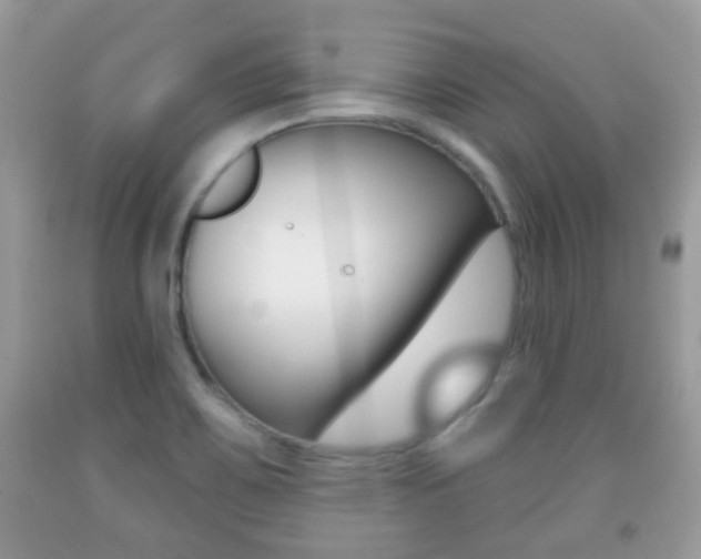 X0000091931467200709051230