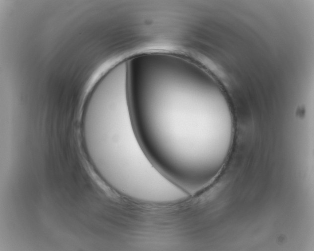 X0000091931469200709051230