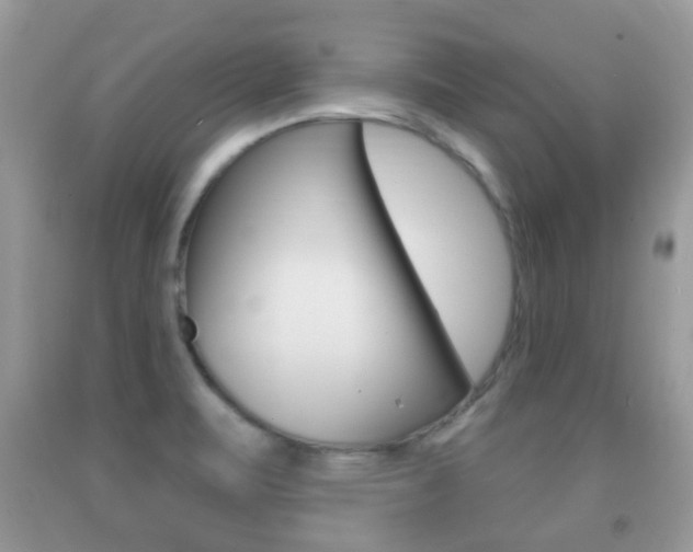 X0000091931471200709051230