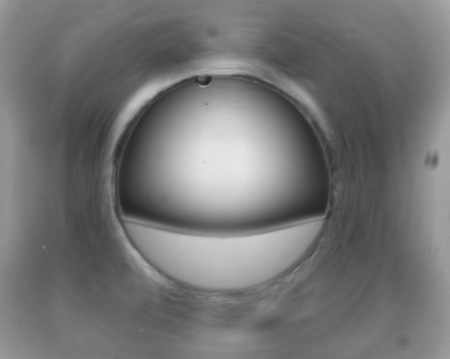 X0000091931472200709051230