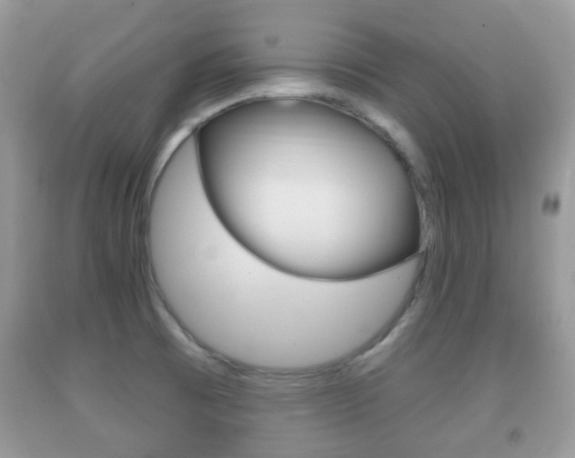 X0000091931473200709051230