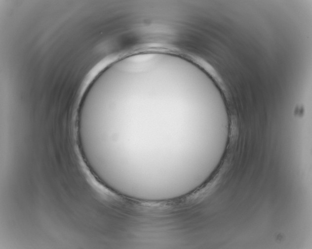 X0000091931474200709051230