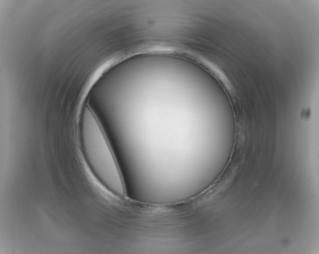 X0000091931475200709051230