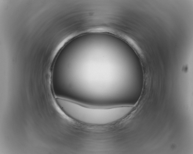 X0000091931476200709051230