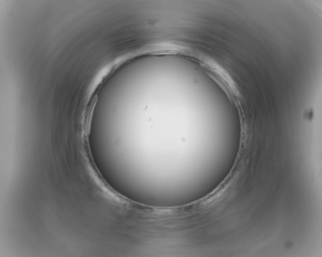 X0000091931477200709051230