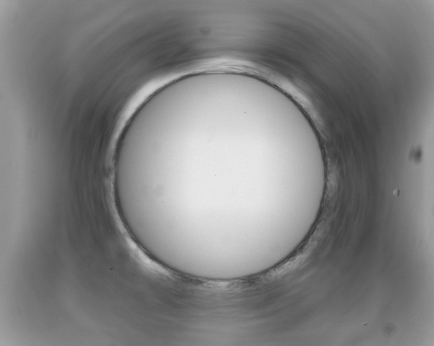X0000091931478200709051230