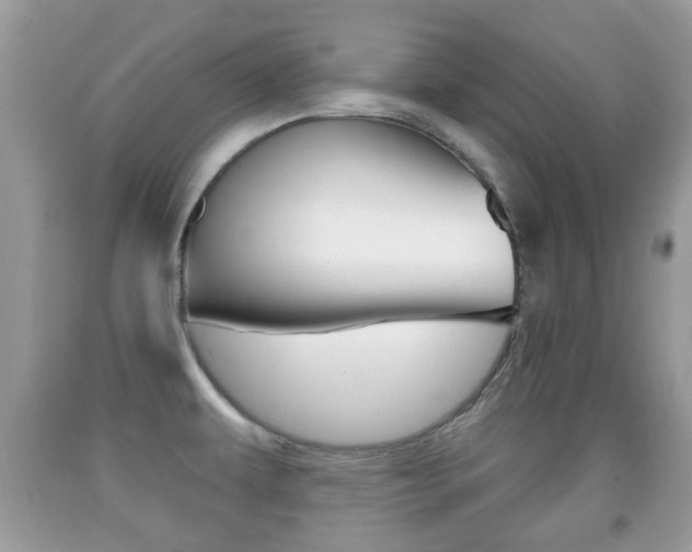 X0000091931479200709051230