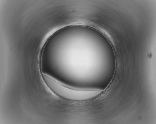 X0000091931480200709051230