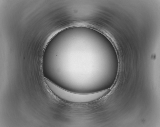 X0000091931481200709051230