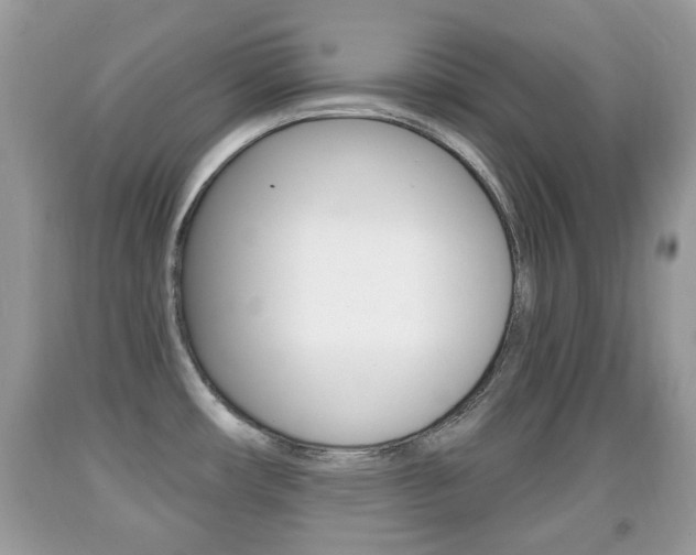X0000091931482200709051230