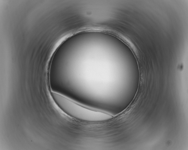 X0000091931483200709051230