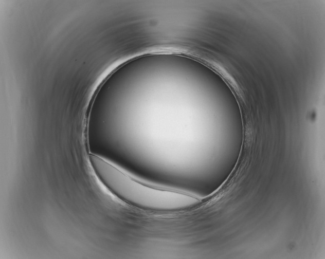 X0000091931484200709051230