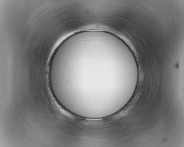X0000091931486200709051230