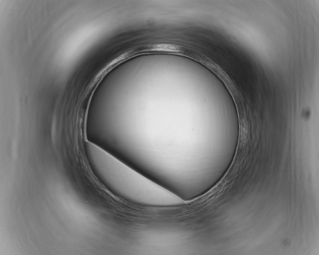 X0000091931487200709051230