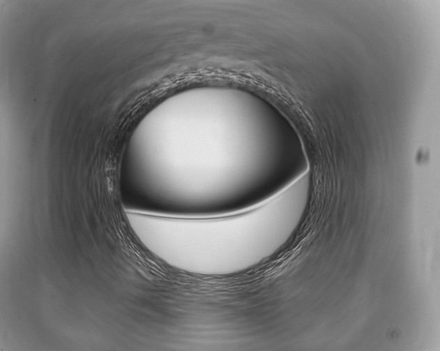 X0000091931490200709051229