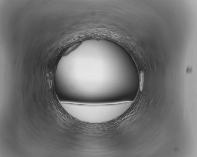 X0000091931491200709051229