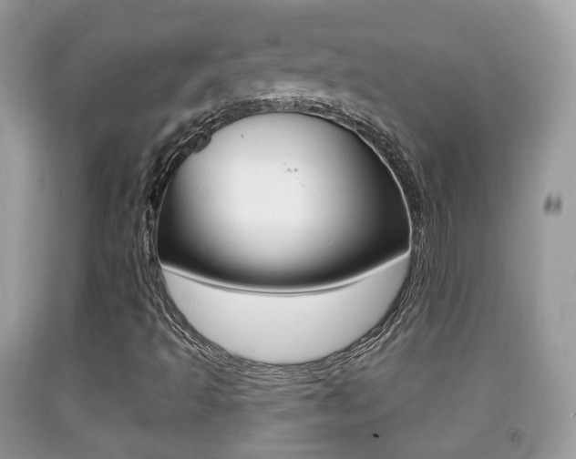 X0000091931493200709051229