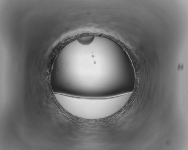 X0000091931495200709051229