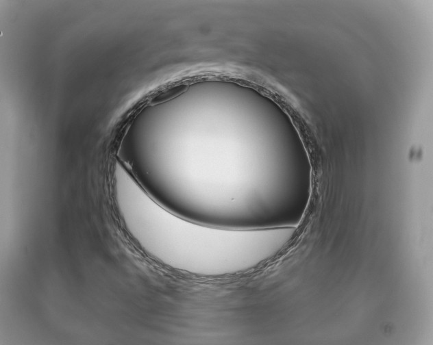 X0000091931496200709051230