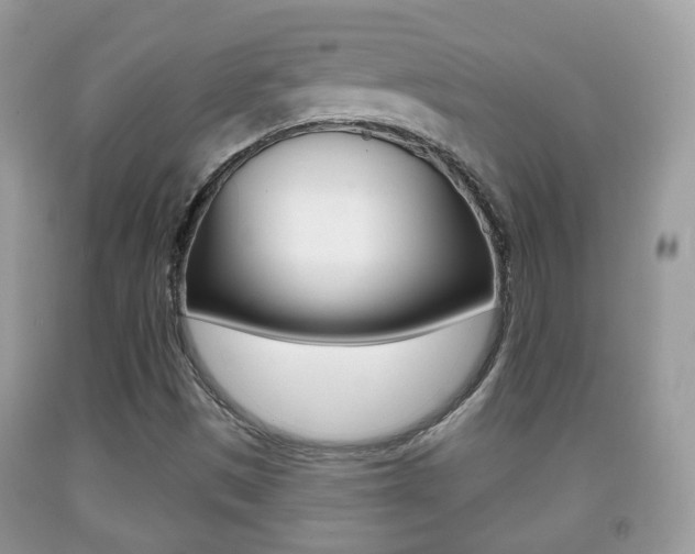 X0000091931497200709051230