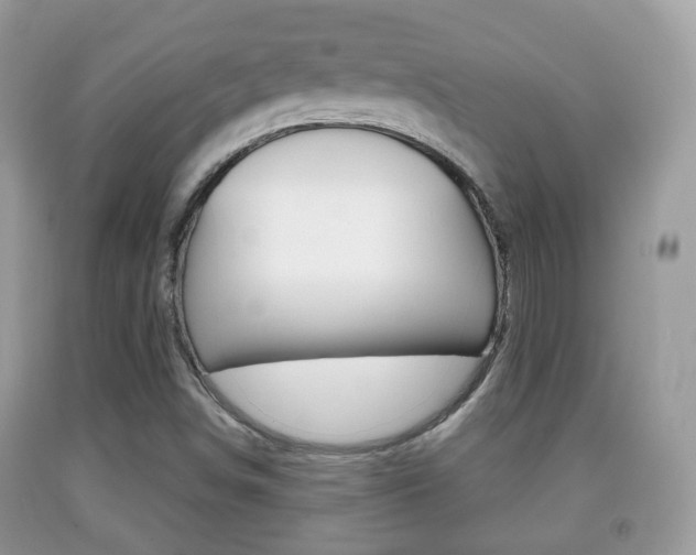 X0000091931498200709051230