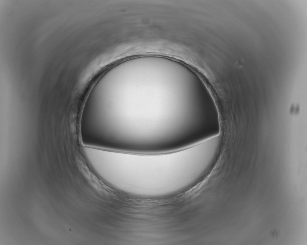 X0000091931499200709051230