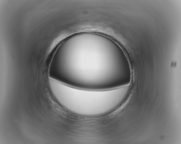 X0000091931501200709051230